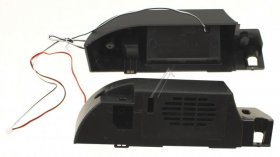 Express Luck Tv Speaker - 306050c064y0hl0s Speaker