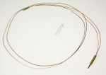 Thermocouple - 1039790 Thermo Switch 1230-1555 1200mm Green [Amica]