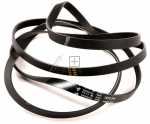 Poly v belt - C00377946 481281728273 Poly-v-belt [Whirlpool Indesit]
