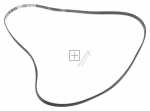 Poly v belt - 5pje1234 1039586 Belt [Amica]