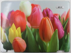 Acer Aspire 5630 - Lid Cover (Grade D) - AP008002400 - REV 0A